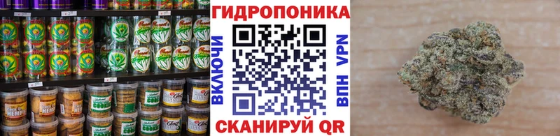 Canna-Cookies марихуана  блэк спрут зеркало  Каневская 
