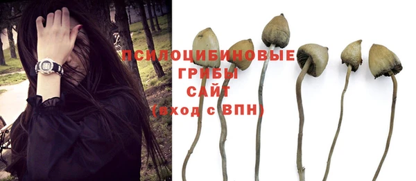 а пвп мука Алексин